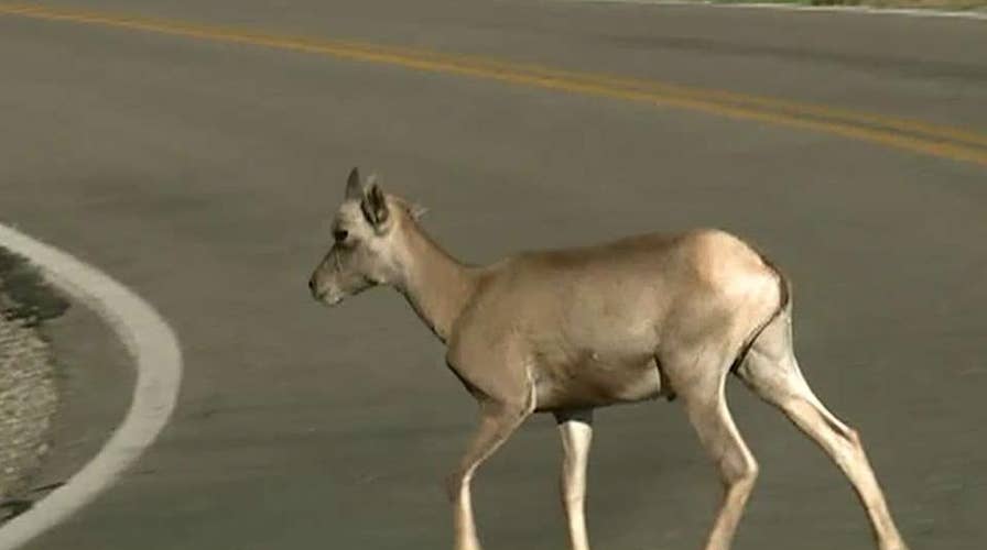 Bureau of Land Management relocating to Colorado