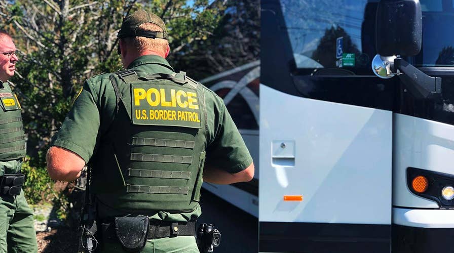 Bus companies reject calls to ban immigration agents from boarding