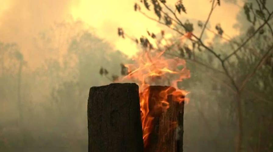 Trump: US 'ready to assist' Brazil with Amazon rainforest fires