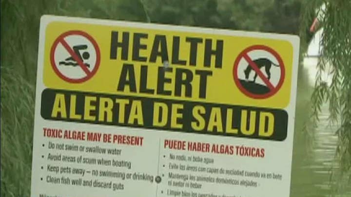 Environmental officials issue warning after toxic algae is found in New York City parks