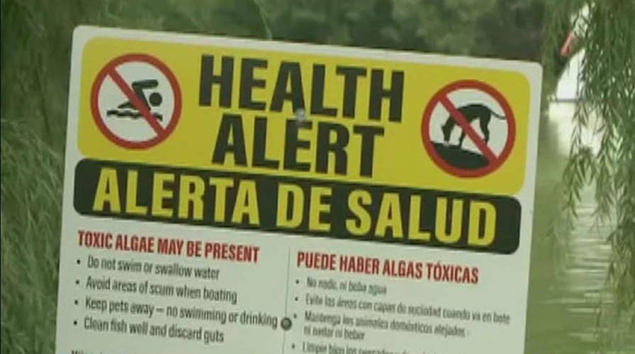Environmental officials issue warning after toxic algae is found in New York City parks