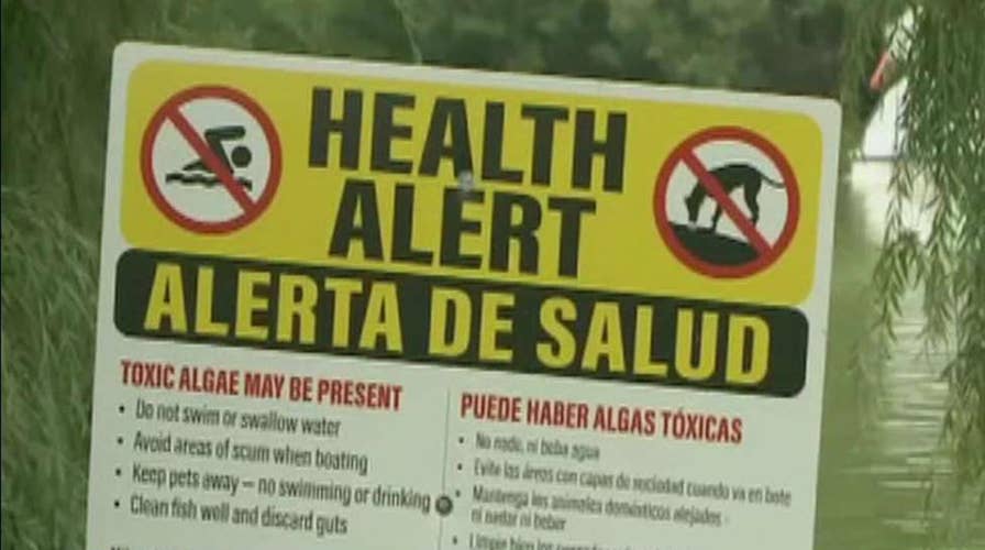 Environmental officials issue warning after toxic algae is found in New York City parks