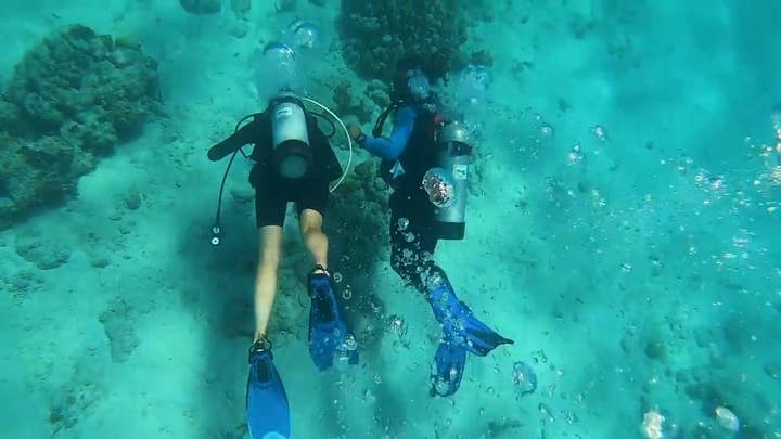 Scuba Diving in the U.S. Virgin Islands