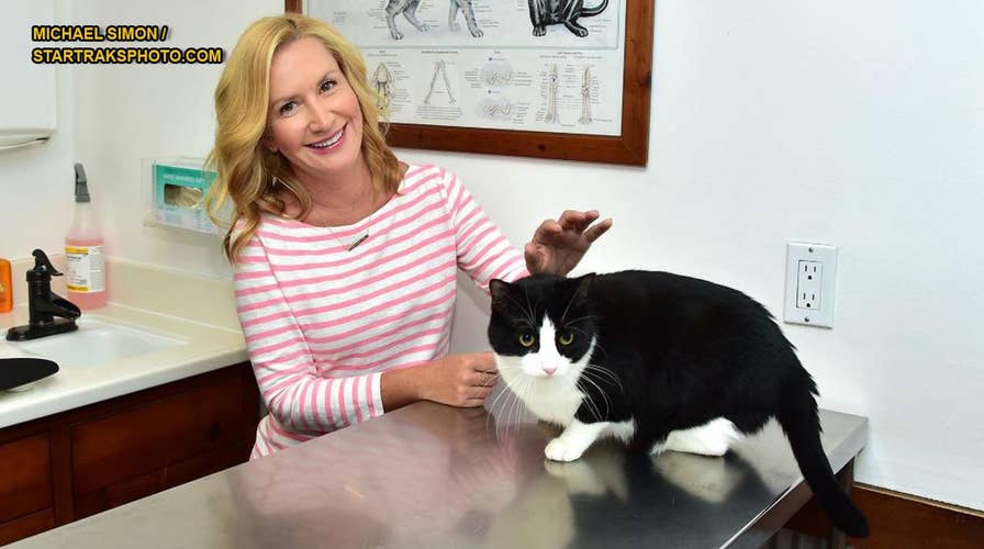 Actress Angela Kinsey, Angela from "The Office," reveals the origin of her character's love for cats