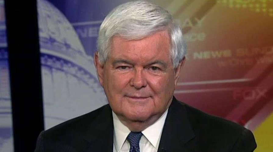 Newt Gingrich on Obama's gerrymandering fight, Biden's latest campaign trail blunder