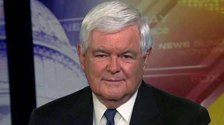 Newt Gingrich on Obama's gerrymandering fight, Biden's latest campaign trail blunder