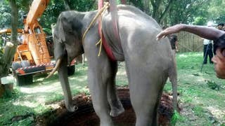 WATCH: Incredible images show elephant getting rescued from a 20-foot well in India - Fox News