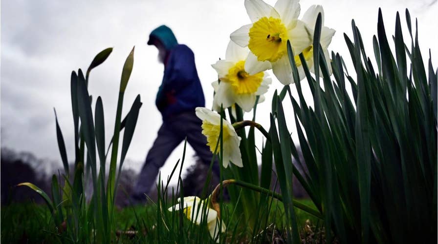 Instagrammers have ruined California’s super bloom