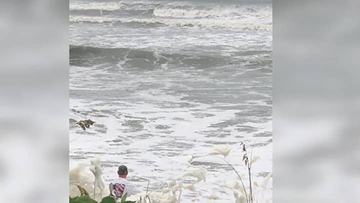 Man rescues boy in Atlantic Ocean
