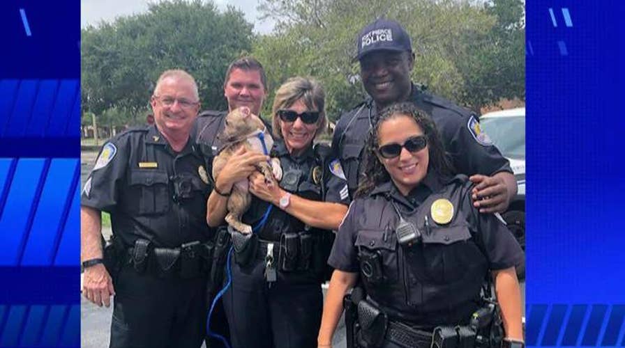 Florida officer rescues 6-week-old puppy amid Hurricane Dorian