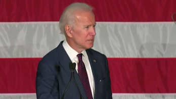 Sean Spicer: Democrats causing 'tremendous damage to themselves'