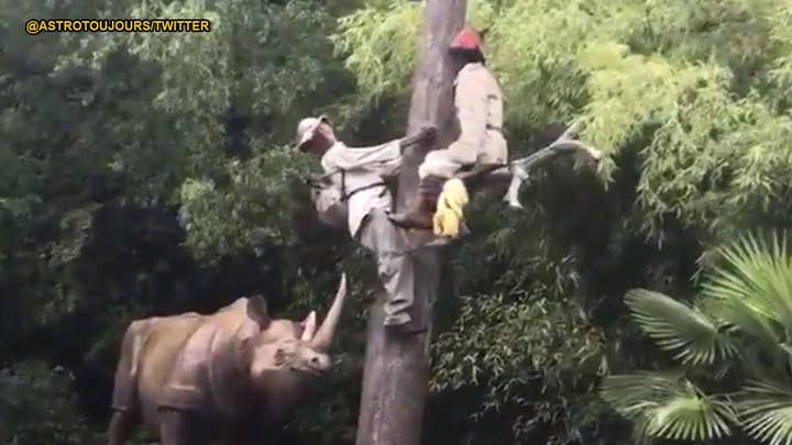 French theme park apologizes for 'racist' safari ride