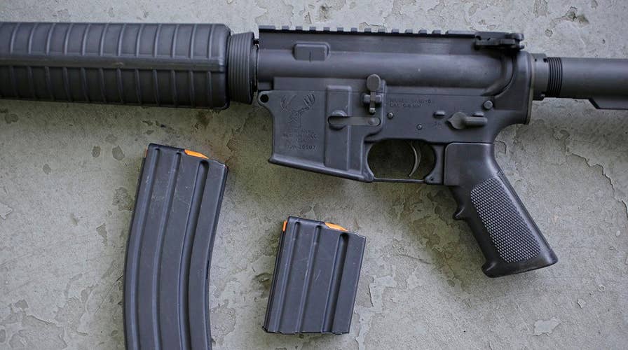 Congress set to return from recess as gun control debate heats up