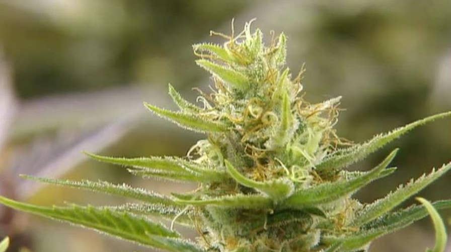 California lawmakers approve medical marijuana in schools for children as young as age 5