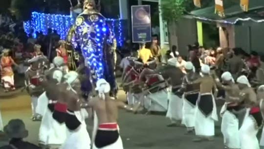 Sri Lanka elephants run wild during religious procession, at least 17 people injured