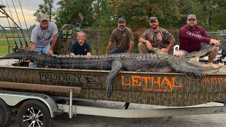 Georgia dad, daughter catch 14-foot, 700-pound 'monster' alligator: 'You need to see it'