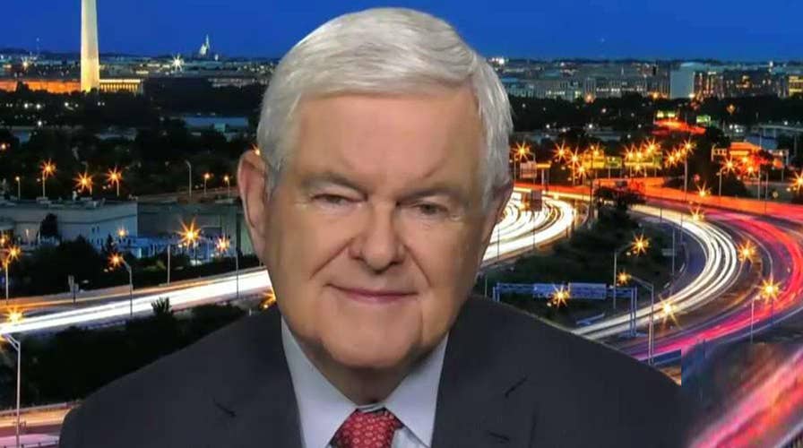 Gingrich: Democrats promising to destroy everything Trump has made better