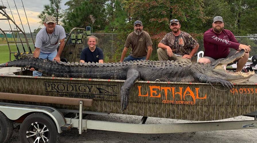 Georgia dad, daughter catch 14-foot, 700-pound 'monster' alligator: 'You need to see it'