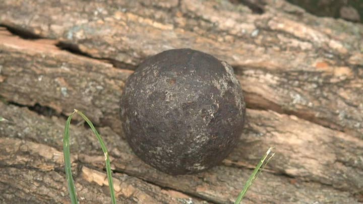 Civil War-era cannonball found in walnut tree in Missouri
