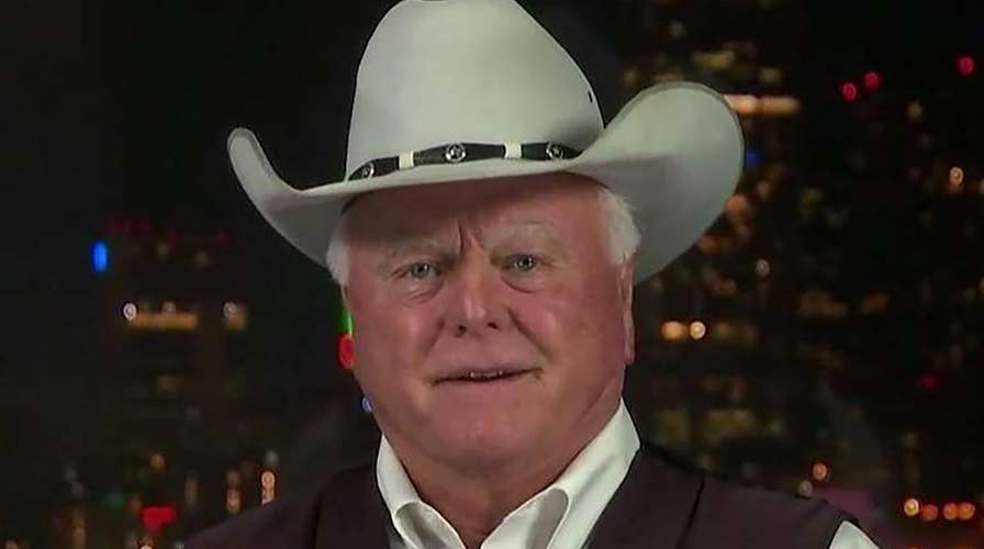 Texas agriculture commissioner says Trump will win Texas in 2020