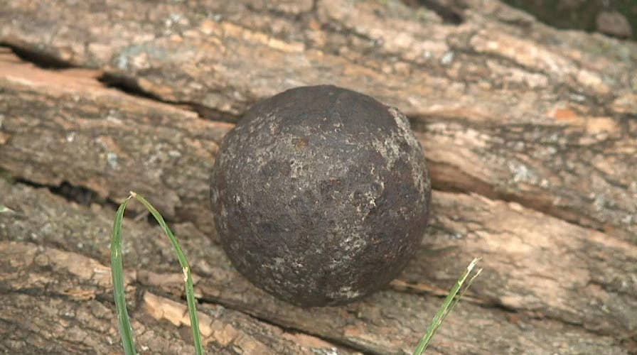 Civil War-era cannonball found in walnut tree in Missouri