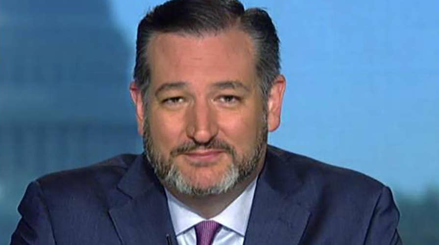 Ted Cruz slams the 'crazy left-wing ideology' of The New York Times, 2020 Democrats
