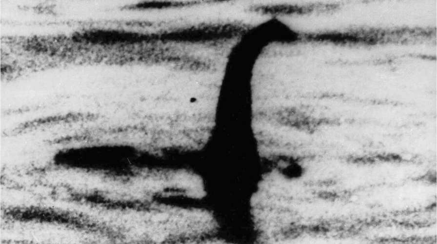 Video shows the Loch Ness Monster could really just be a large eel