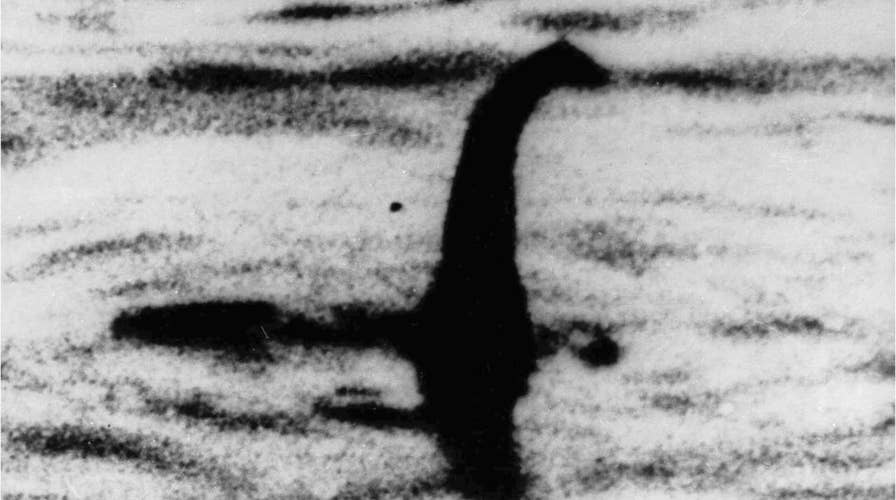 Video shows the Loch Ness Monster could really just be a large eel