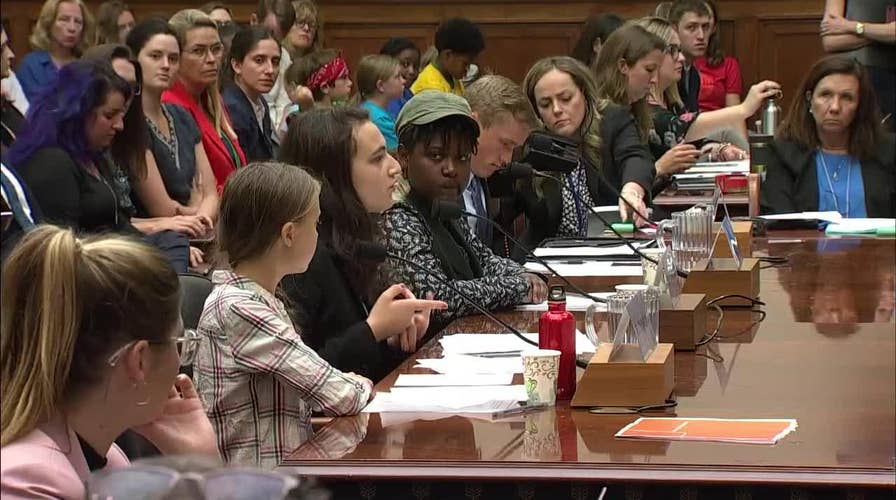 Teen climate activists testify to US Congress