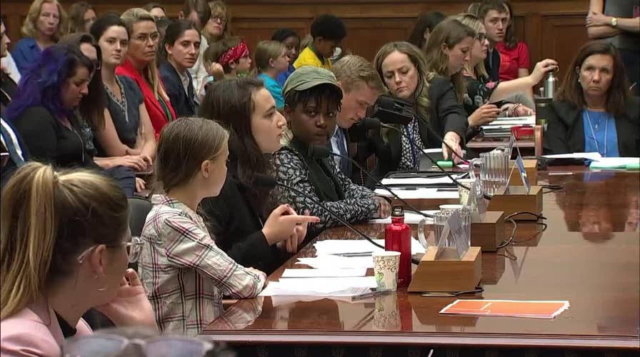 Teen climate activists testify to US Congress