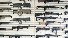 More than 100 Virginia cities, counties declare themselves gun sanctuaries as Dems prepare to take legislature