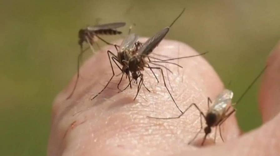 Rare mosquito-borne illness responsible for at least five deaths, 21 illnesses in six states