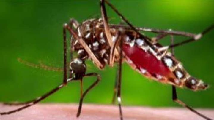 Deadly 'EEE' virus carried by mosquitos kills 3 people in the US