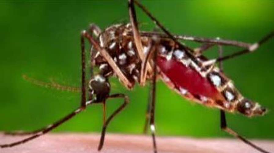 Deadly 'EEE' virus carried by mosquitos kills 3 people in the US