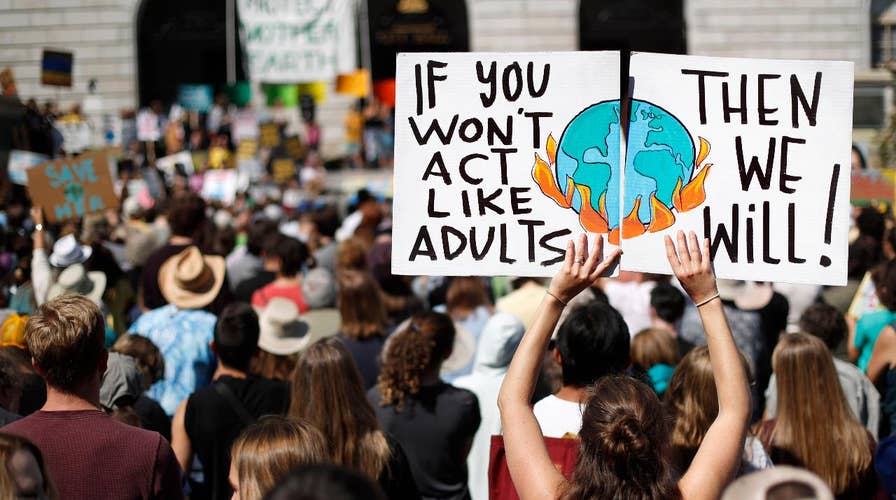 Global climate strike protests take place across the country