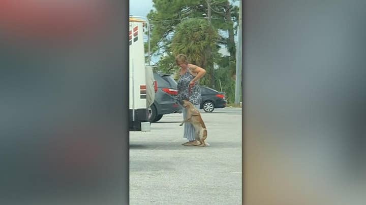 Florida woman arrested for kicking, pulling dog off the ground by leash