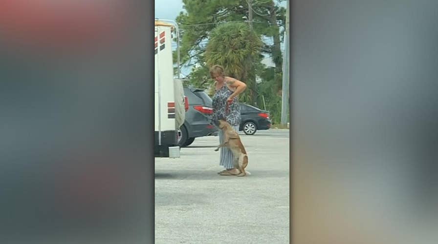Florida woman arrested for kicking, pulling dog off the ground by leash