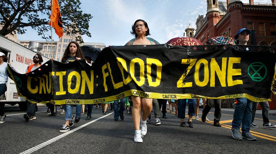 Protesters shut down DC, demand action on climate change