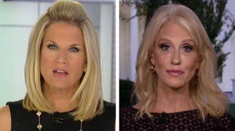 Kellyanne Conway rips whistleblower in Ukraine case