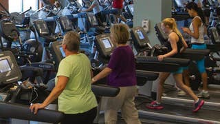 Study: Too much exercise can lead to bad decisions - Fox News