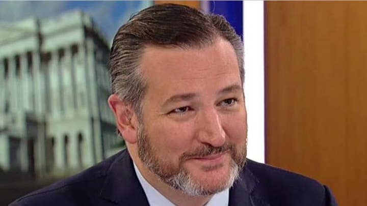 Ted Cruz says Congressional Democrats are angry at voters about the 2016 election