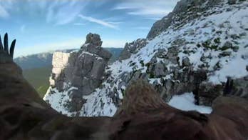 Eagle with camera will give birds-eye view of dwindling Alpine glaciers