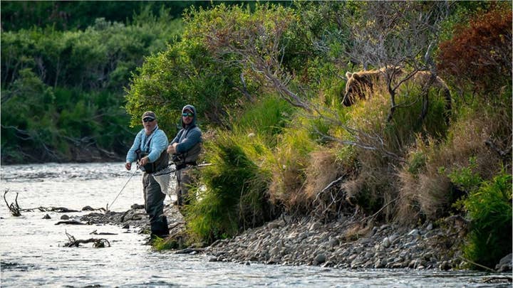 SEE IT: Brown bear photo-bombs 'oblivious' fishermen in wildlife photographer's photo