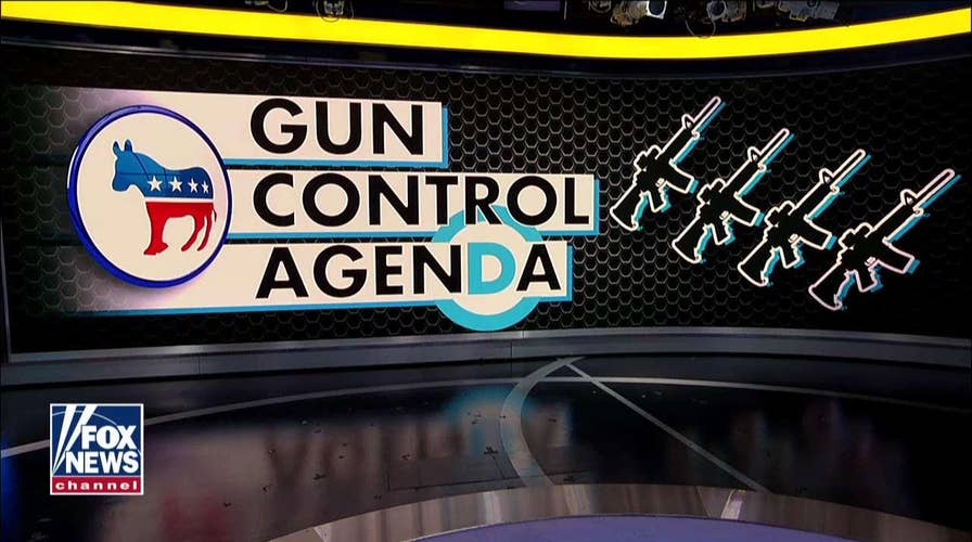 Dana Loesch reacts to 2020 Democrats' extreme positions on gun control