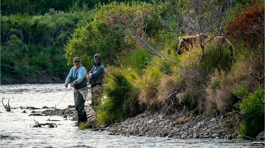 SEE IT: Brown bear photo-bombs 'oblivious' fishermen in wildlife photographer's photo