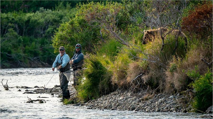 SEE IT: Brown bear photo-bombs 'oblivious' fishermen in wildlife photographer's photo