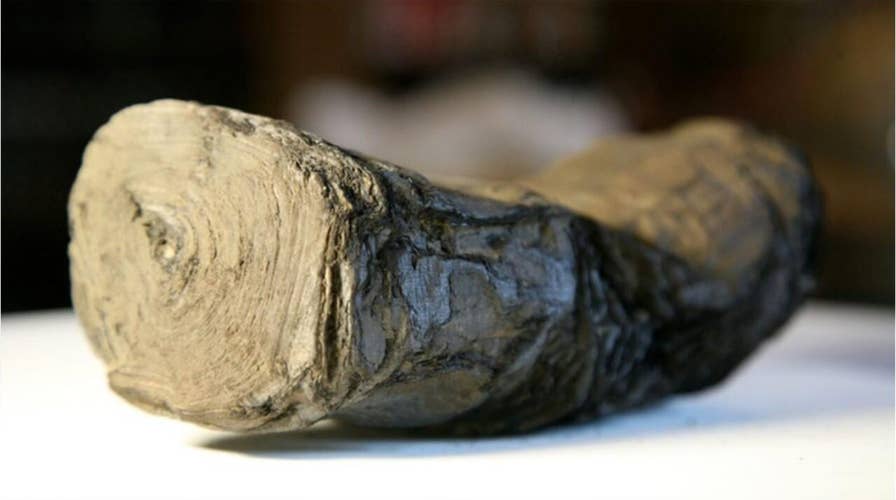 Mysterious scrolls linked to Julius Caesar could be read for first time ever