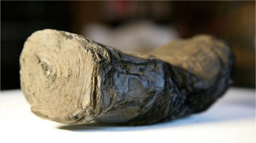 Mysterious scrolls linked to Julius Caesar could be read for first time ever