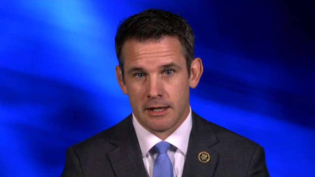 EU ambassador should testify on Ukraine, Rep. Kinzinger says after ...