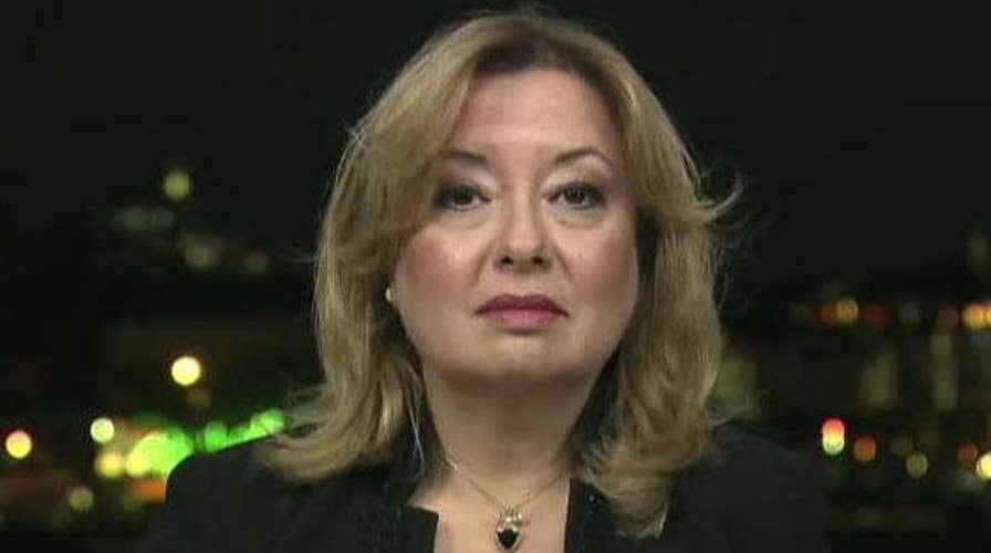 Turkish president senior adviser on why Turkey decided to invade Syria